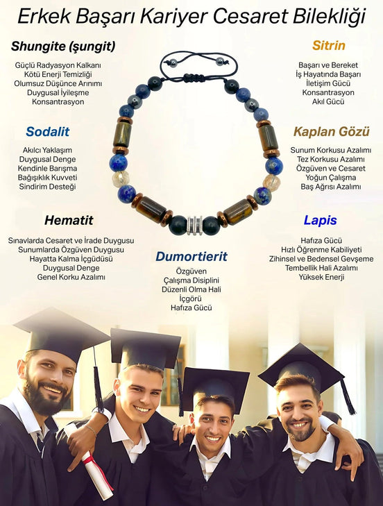 Erkek Başarı Kariyer Cesaret Bilekliği Shungite (Şungit) - Sodalit - Hematit - Lapis - Dumortierit - Kaplan Gözü - Sitrin