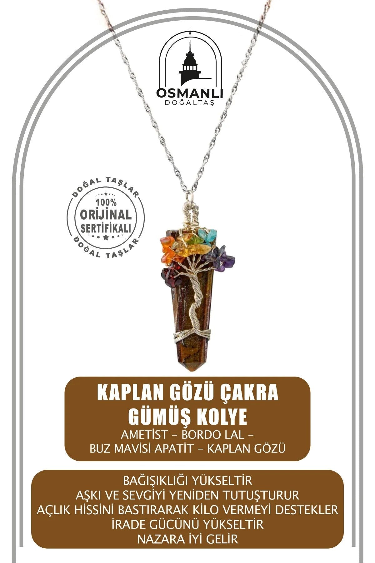 Kaplan Gözü Çakra Gümüş Kolye Kaplan Gözü