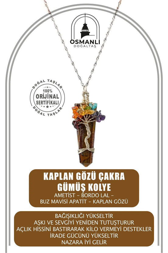 Kaplan Gözü Çakra Gümüş Kolye Kaplan Gözü