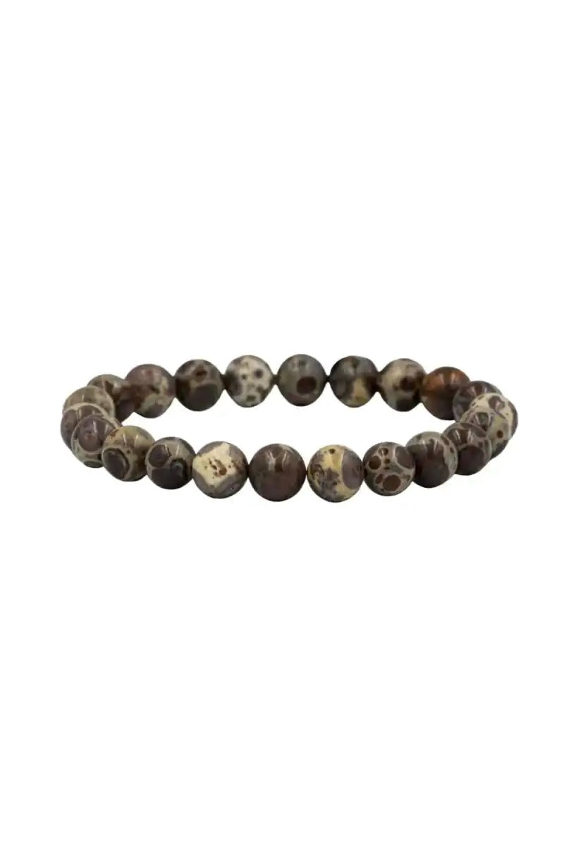Meksika Jasper 6mm Doğal Taş Bileklik