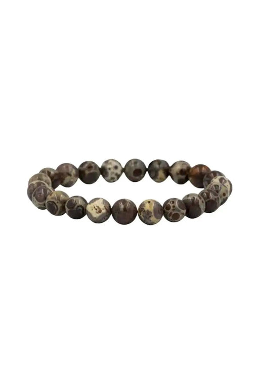 Meksika Jasper 6mm Doğal Taş Bileklik