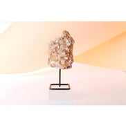 Zeolit Ayaklı Ham Kütle Taş (7-10cm Yükseklik)