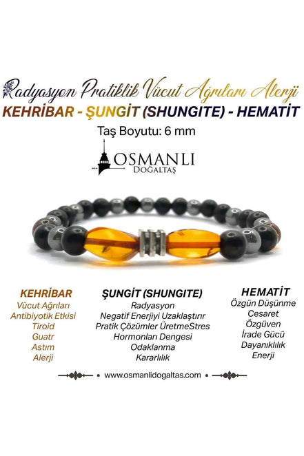 Orijinal Hakiki Kehribar - Shungite (Şungit) - Hematit Doğal Taş Misinalı Bileklik 6mm