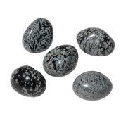 Karlı Obsidyen Doğal Taş Tımbıl El Taşı