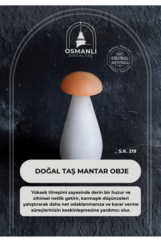 Doğal Taş Mantar Obje (S.K. 219)